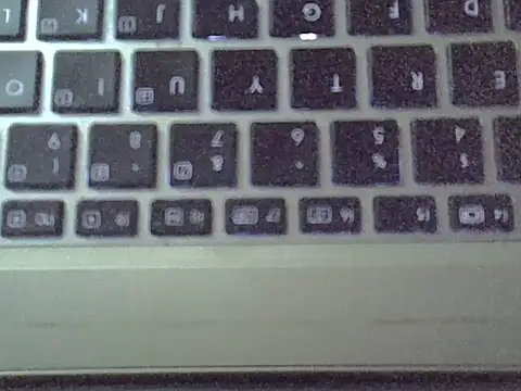 Chat XXX Live Delicious-D
