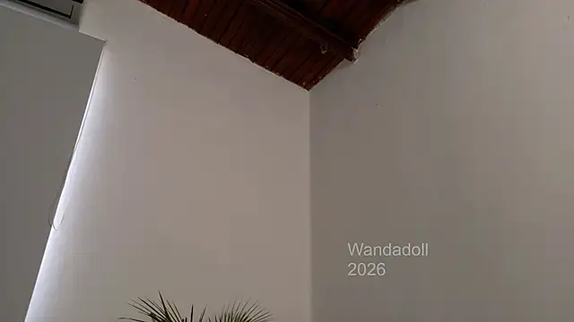 WandaDoll 라이브 XXX 채팅