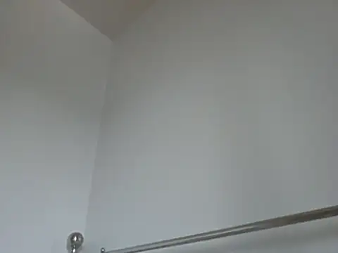 Show webcam de 33ENG