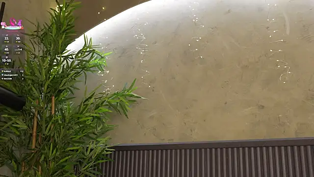 Will_Hendrix 现场XXX聊天
