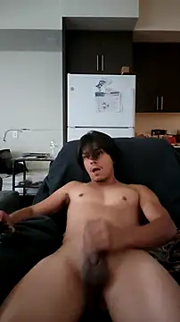 ZeldaSneakyLink Show in webcam