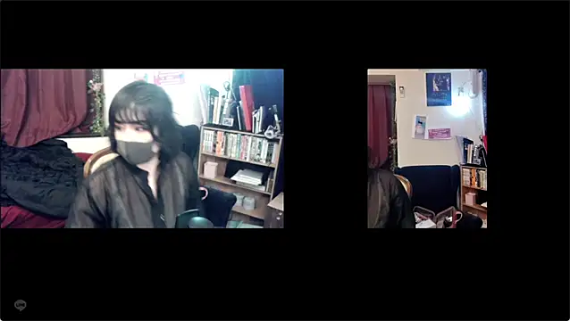 SAUoのウェブカメラショー