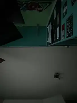 no-name15 Show in webcam