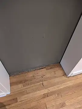 Cnutt310 webkamerás műsora
