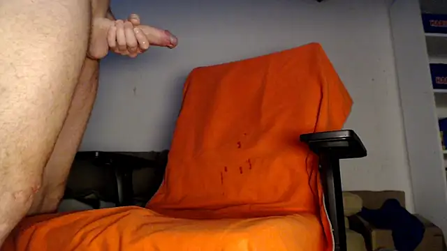 הופעת וובקאם של 1asuckstick