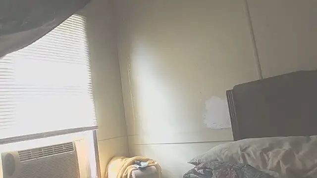 Yankeedave420 Live XXX-chat