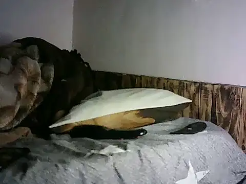 TryingExpiry Webcam show