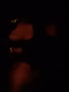 lonelydickpussy Webcam-Show
