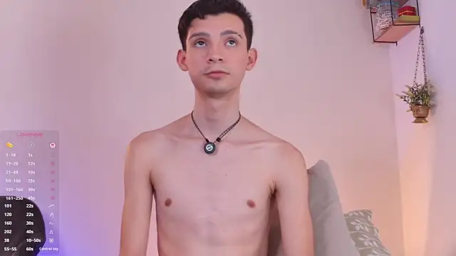 عرض كام VicenteFerrer