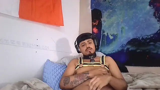 Slutpupdmv: вебкам-шоу