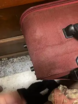 عرض كام ROCCO_INDIAN