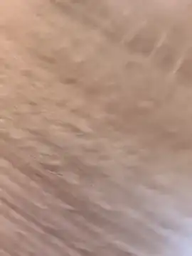 bwcfleshlight 现场XXX聊天