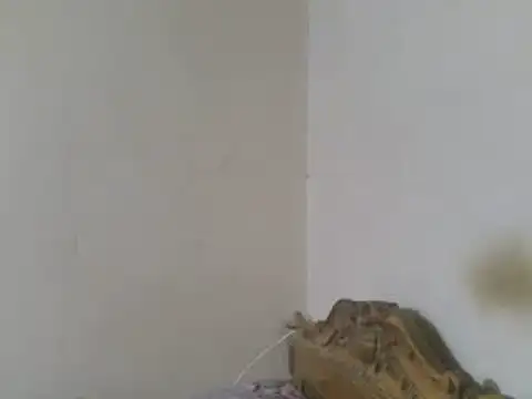 elpoop7305 Show in webcam