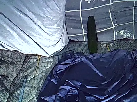 Show Webcam de SurXperience