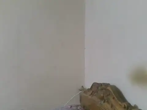 elpoop7305 Chat XXX in diretta
