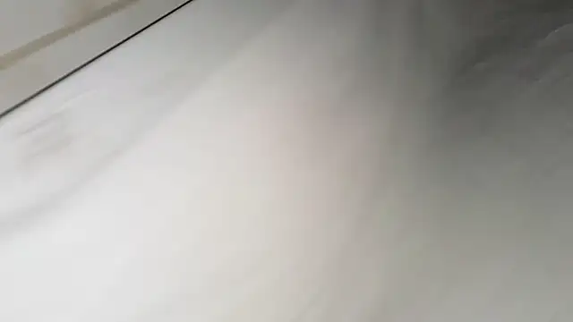 Vuittonn Webbikameraesitys