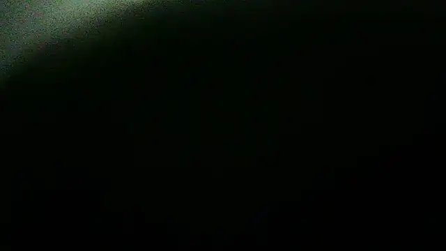 Show webcam de flayeyena