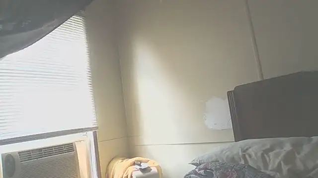 צ'אט XXX בשידור חי של Yankeedave420