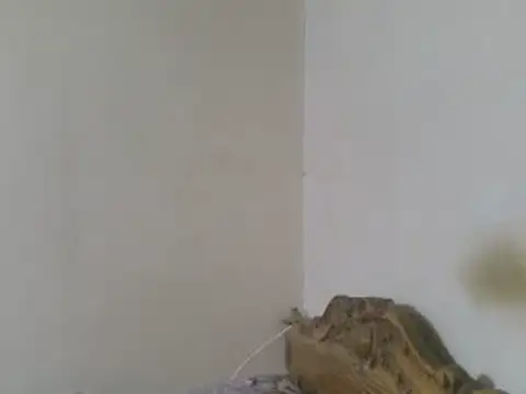 elpoop7305 Show in webcam