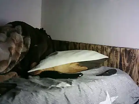 TryingExpiry Webcamshow