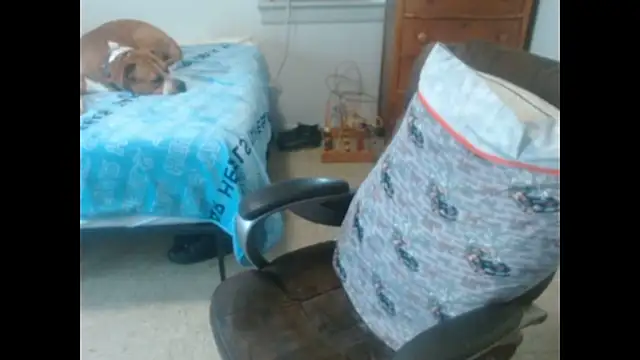 Show Webcam de DADDY_KANE8---