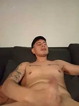 Show de ThestuB na webcam
