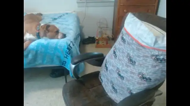 Show webcam de DADDY_KANE8---