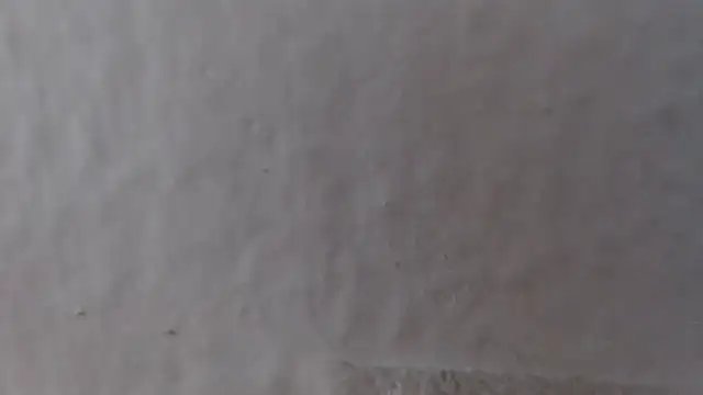 alexam_gal@xhn Webbikameraesitys