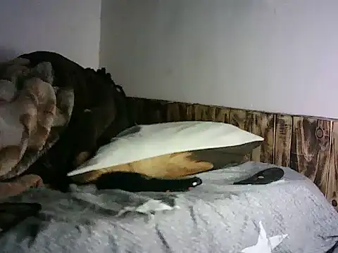TryingExpiry Webcamshow
