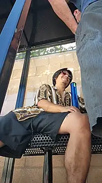 ZeldaSneakyLink Live XXX-chat