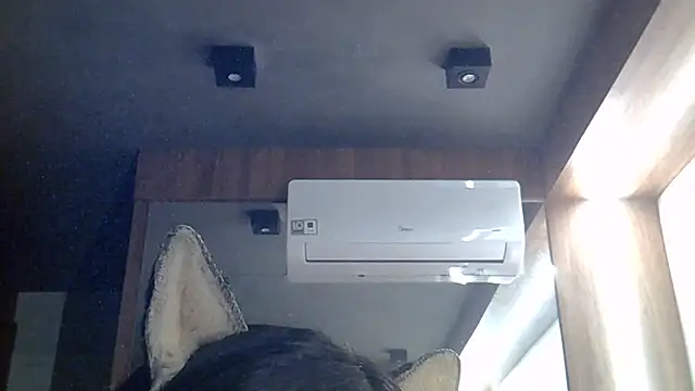 Show Webcam de SkinnyKitten
