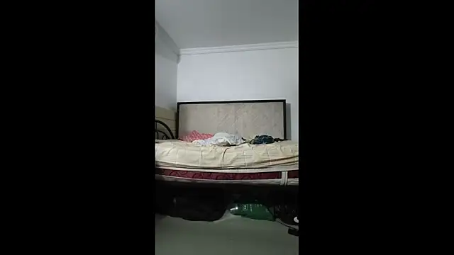sky_dancers – Live XXX-chat