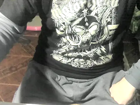Show webcam de OreCam