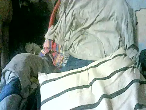 Chat XXX ao vivo de israel3017