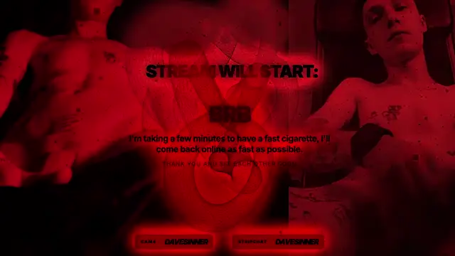 davesinner Webcam show