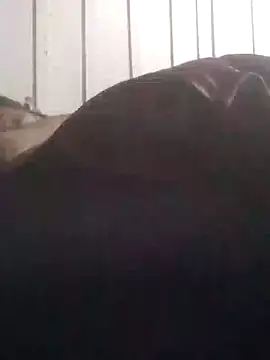 Nilsonmm Show Webcam
