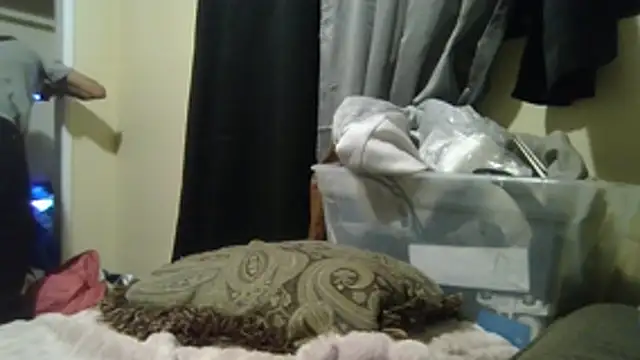 OscarbidD661 Chat XXX in diretta
