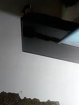 Show Webcam de ColdVisitor