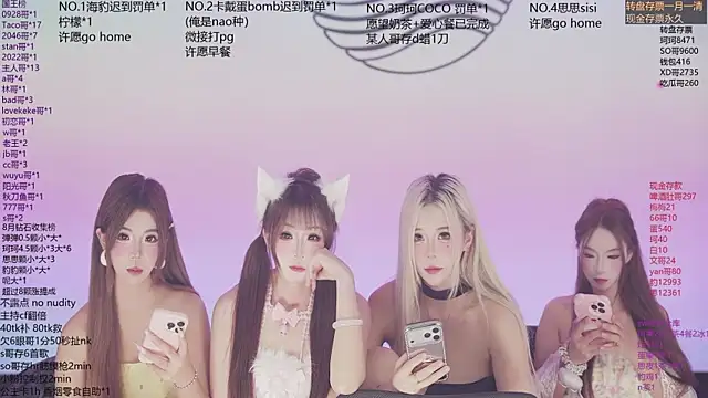 โชว์เว็บแคมของ Sw-001