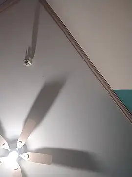 ReallyReallyReal Show Webcam