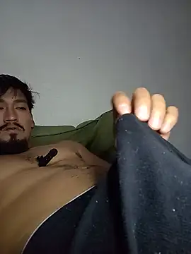 stefamholmes Live XXX-Chat