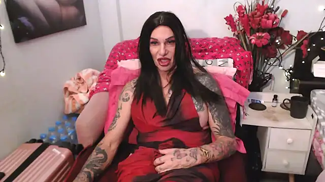transagera Webcamshow