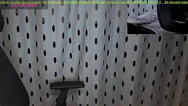 Show de Budapest1958 na webcam