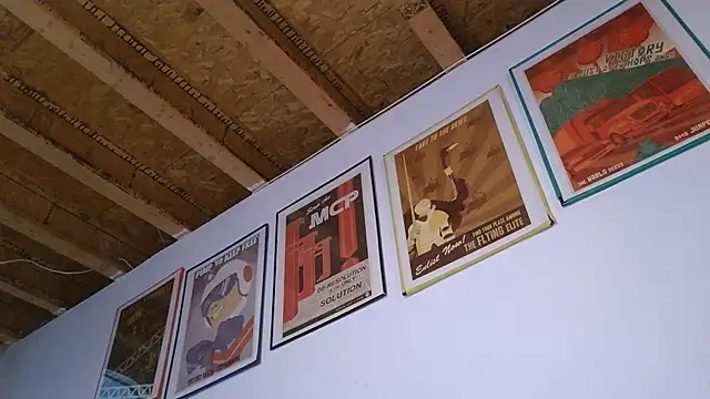 WangDoodle webkamerás műsora