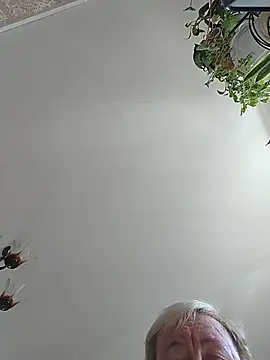 Show Webcam de EffectFiona