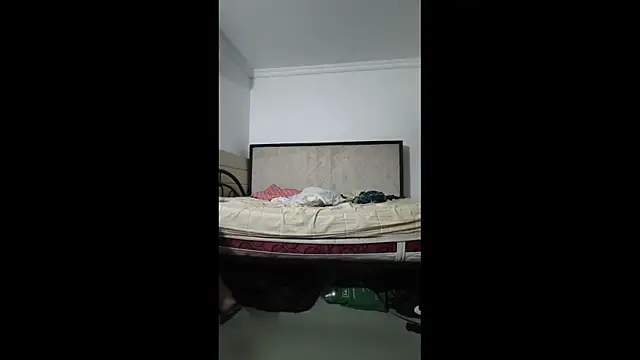 sky_dancers Webcam show
