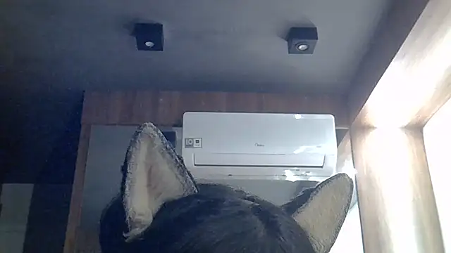 Chat XXX ao vivo de SkinnyKitten