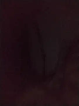 perrongo21 webkamerás műsora