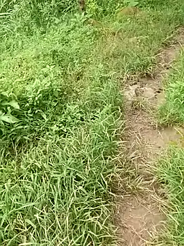 YOURBHABI143's Live XXX Chat