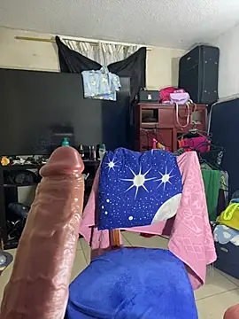 CamelliaLongn Live XXX chat